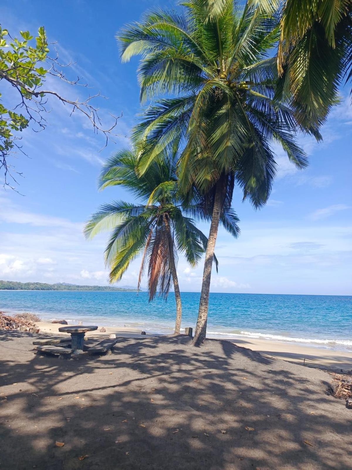 Hotel Boutique D Angelo Manzanillo  Kültér fotó