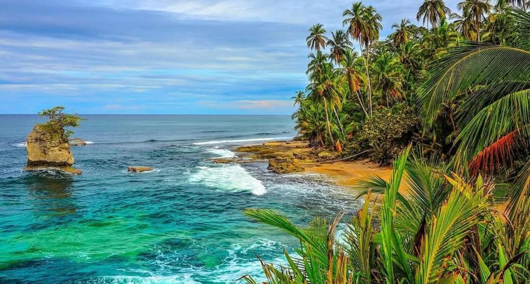 Hotel Boutique D Angelo Manzanillo  Kültér fotó