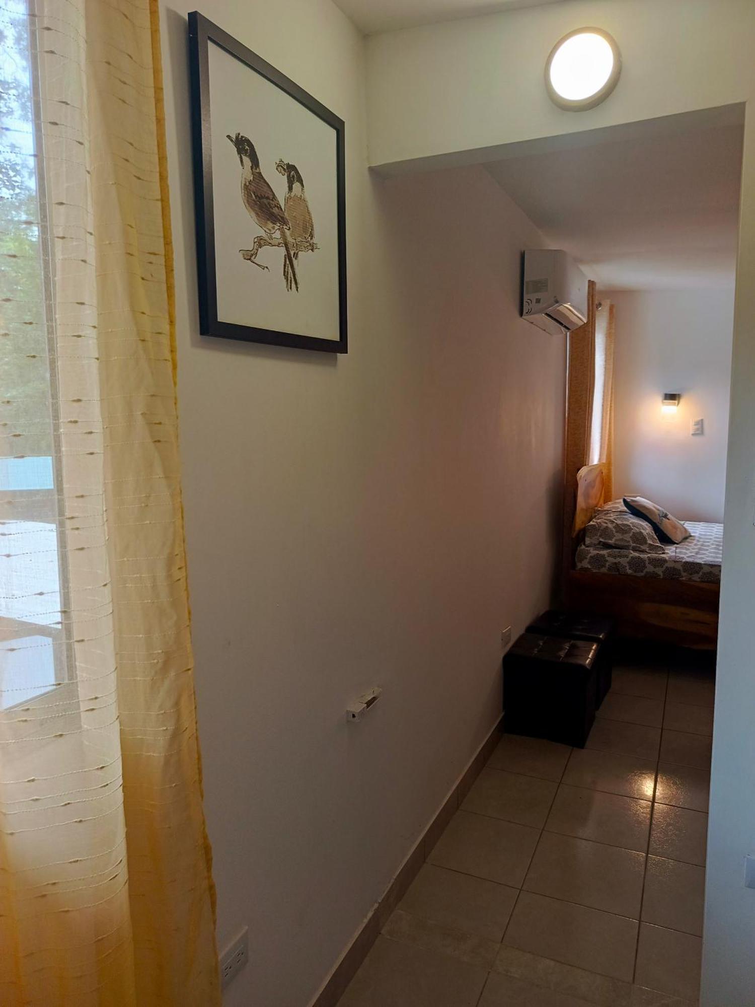Hotel Boutique D Angelo Manzanillo  Kültér fotó
