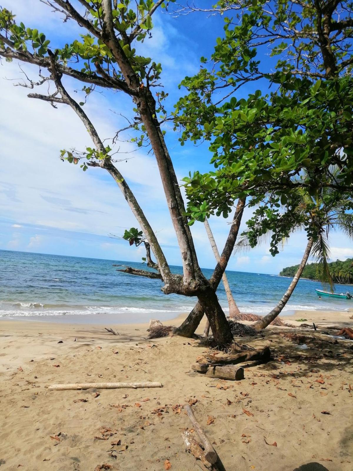 Hotel Boutique D Angelo Manzanillo  Kültér fotó