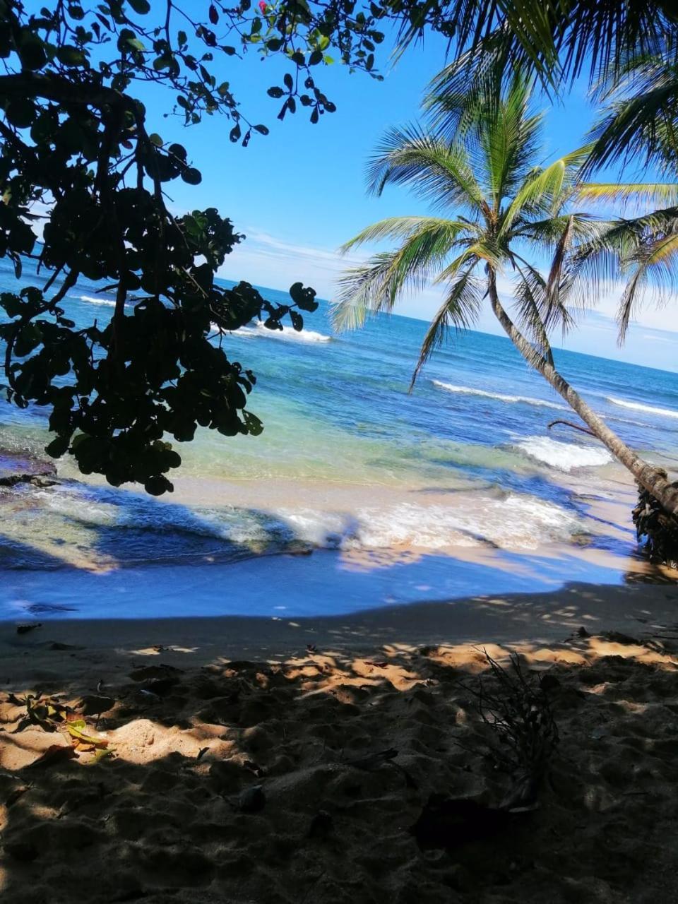 Hotel Boutique D Angelo Manzanillo  Kültér fotó