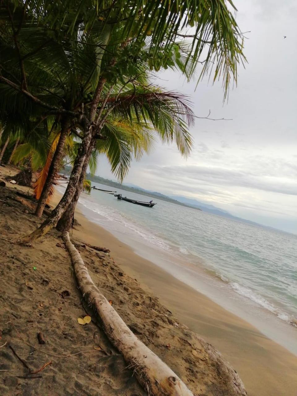 Hotel Boutique D Angelo Manzanillo  Kültér fotó